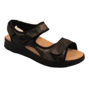 Hoopoe Women's Shoes - Rejuve