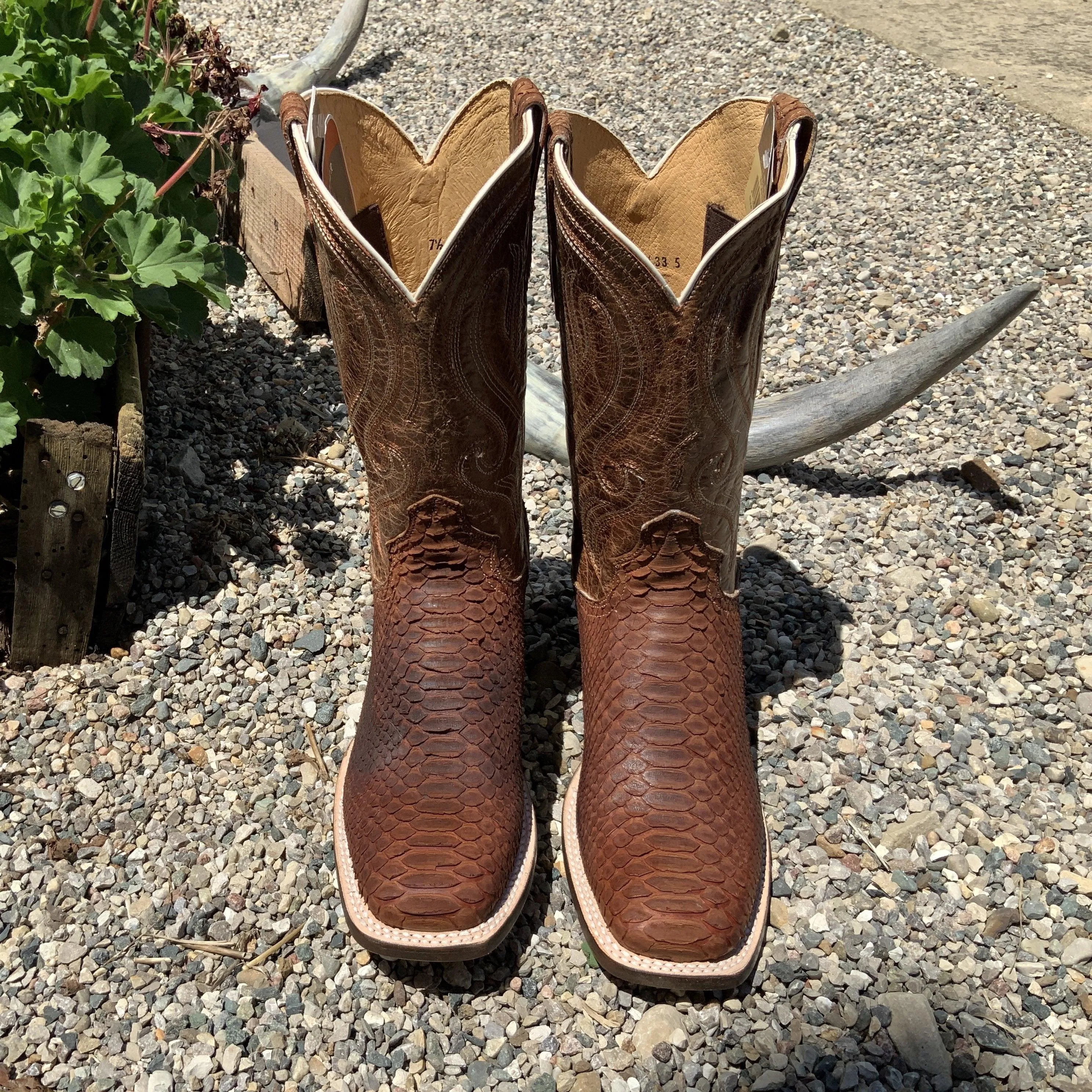 Roper Women's Cognac Brown Genuine Python Square Toe Cowgirl Boot 6510-8225