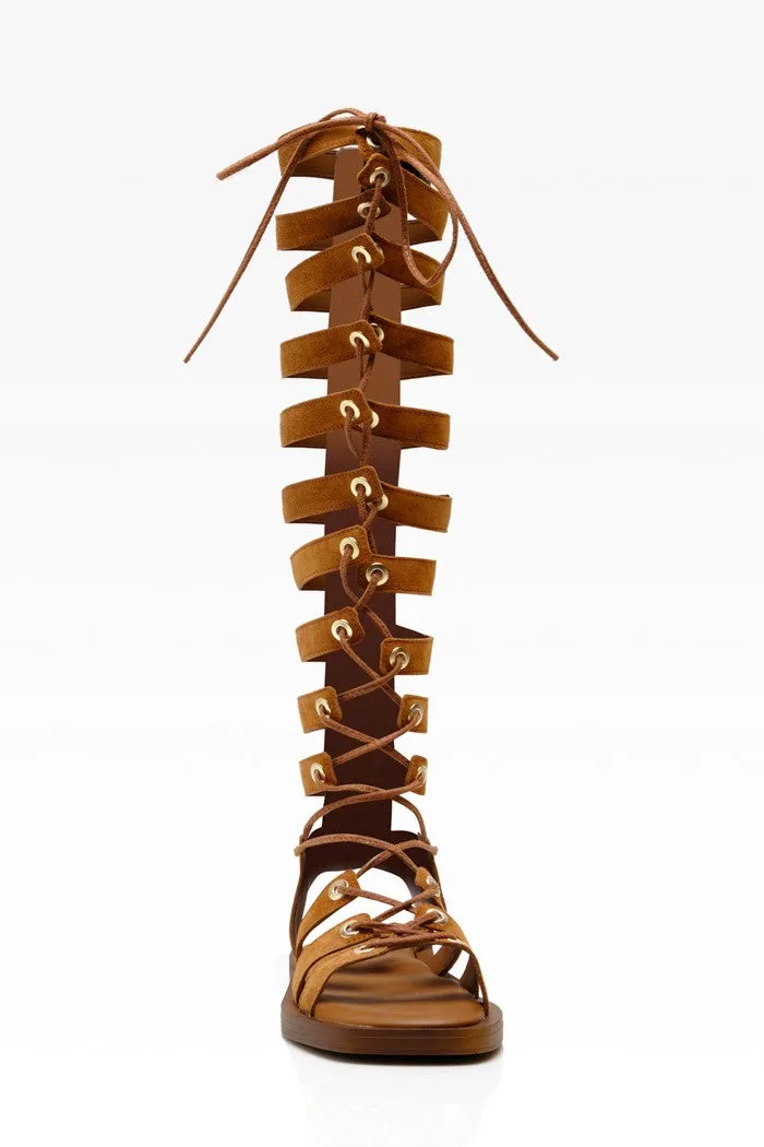 Sun Chaser Tall Gladiator Sandals