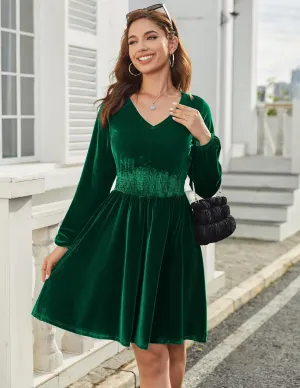 Zeagoo Women's Elegant Velvet Dress Winter Dress (DE Only)